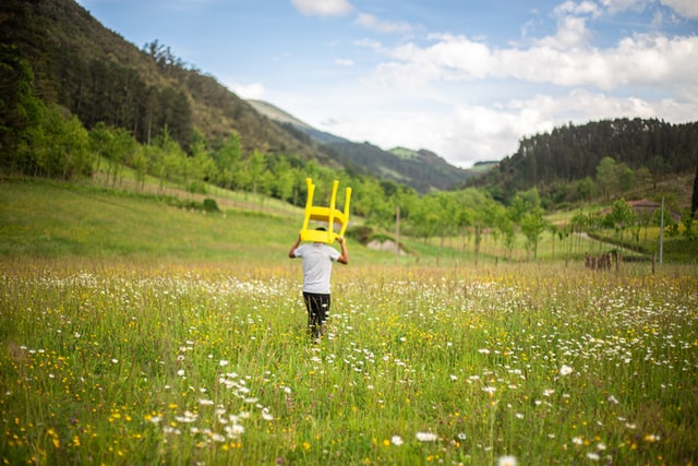 man walking in dandelion garden