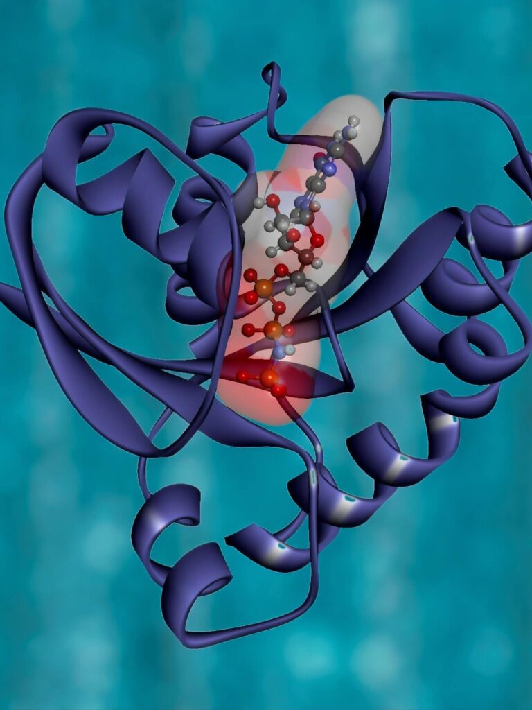 KRAS Protein Structure
