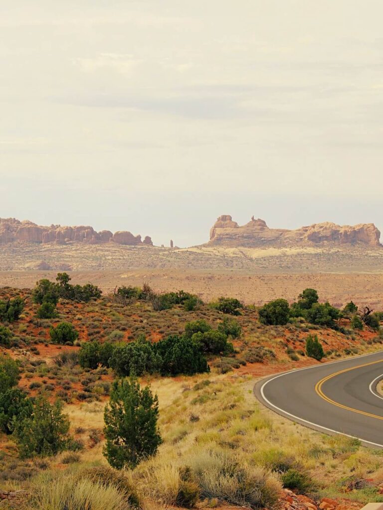 nature nature, peace of mind